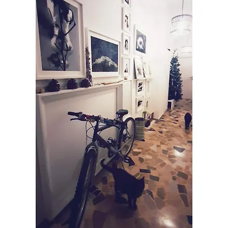 Ab Ovo فندق مبيت وإفطار