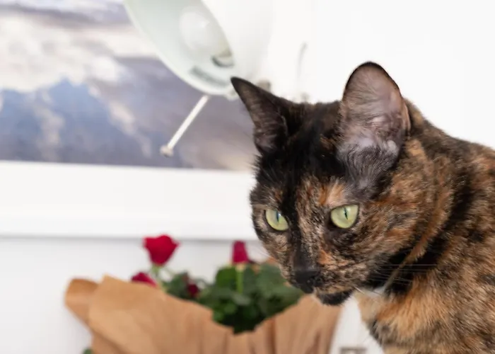 Ab Ovo Nocleg ze śniadaniem Cagliari