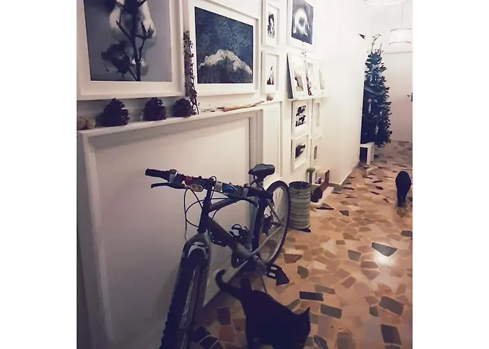 Ab Ovo Nocleg ze śniadaniem